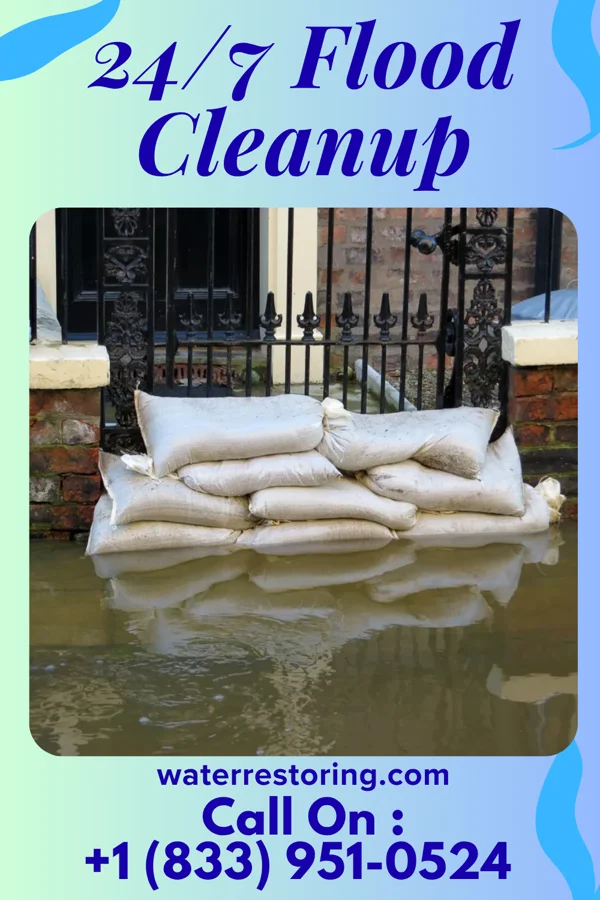 24/7 Flood Cleanup in Goofy Ridge, IL