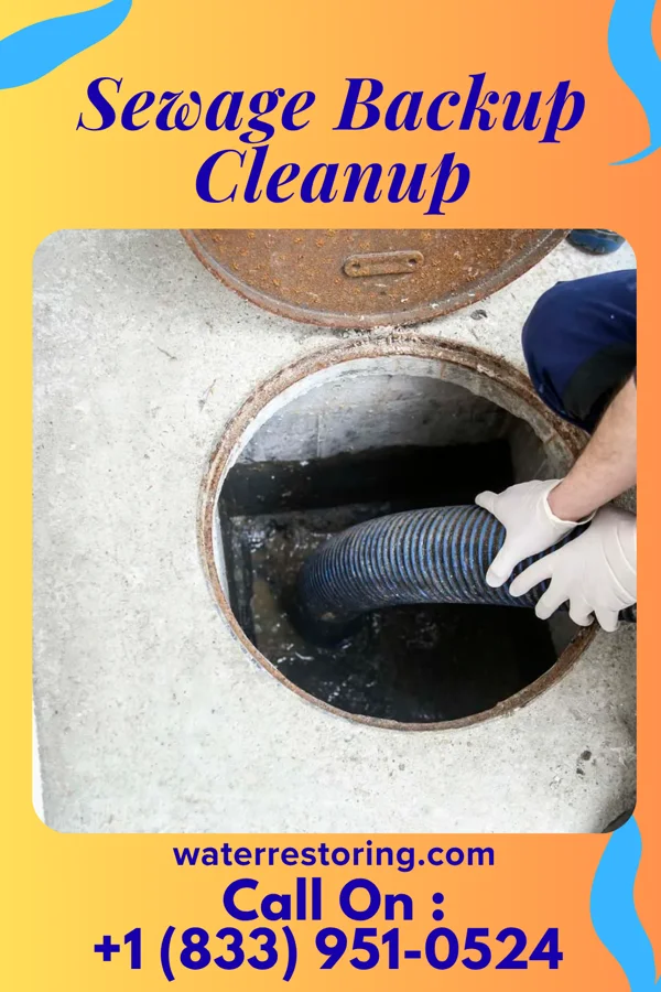 Sewage Backup Cleanup in Goofy Ridge, IL